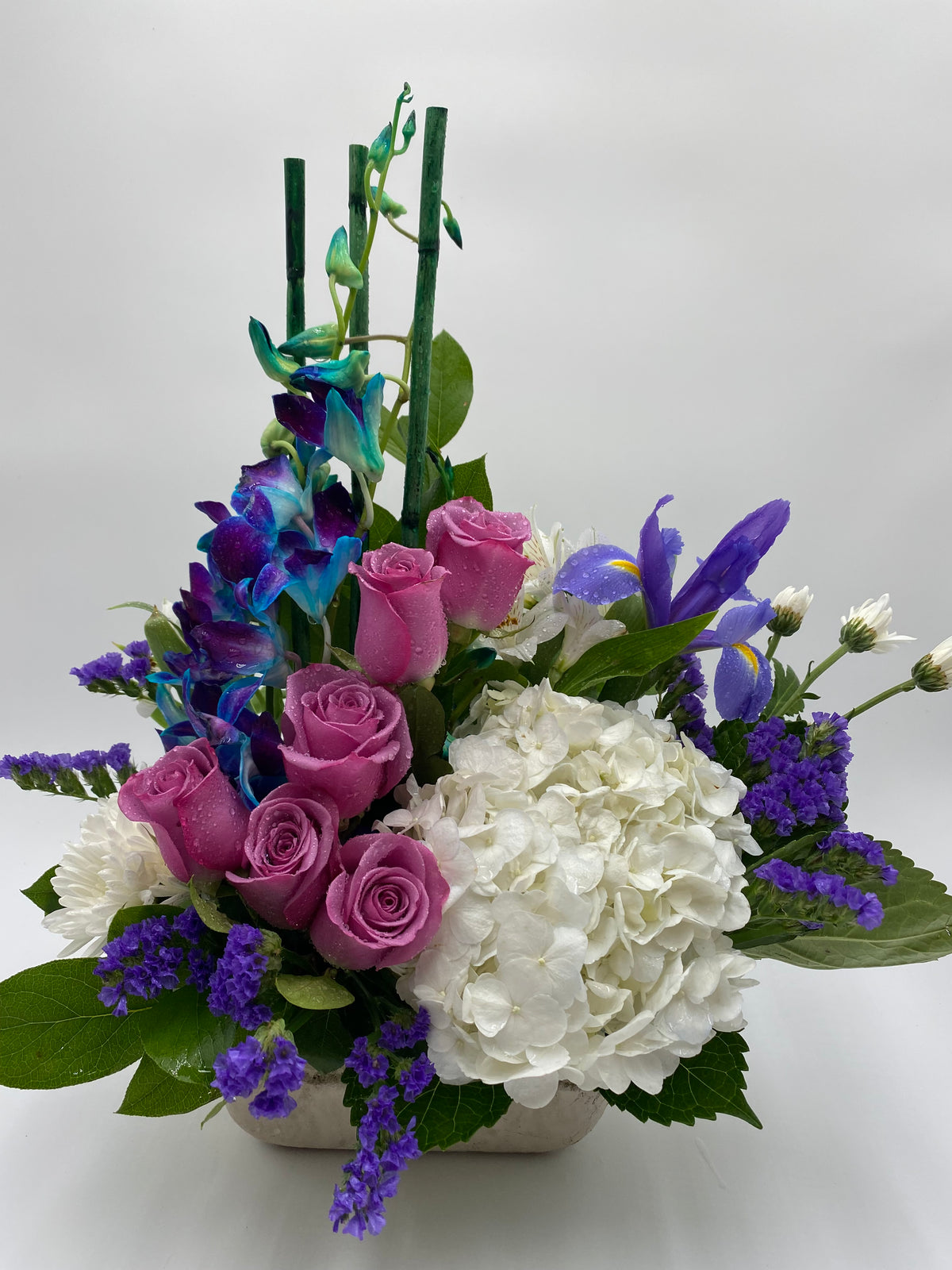 Bright Day Blooms
